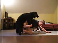 Young Amateur Guy Gets Fucked By German Shephard Gaybeast.Com - Beastiality Sex Porn Movie