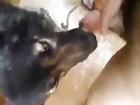 Young Boy And Dog 1 Gay Beast Com - Animal Sex