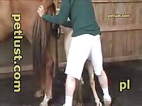 Young Boy Fuck Mare - Zoo Porn Horse, Zoo Porn With Men at Katitube