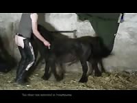 355 rusz [ Russian Beastiality Porn ] 2018 zoo sex from moscow