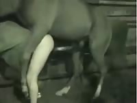 A man with a big dick fuck horse gaybeast com [ Beastiality Sex Video With Lust ]