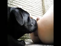 Aluzky getting rimmed 02