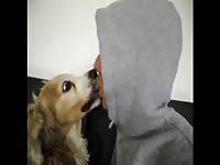 Aluzky hcock kisses lickjob