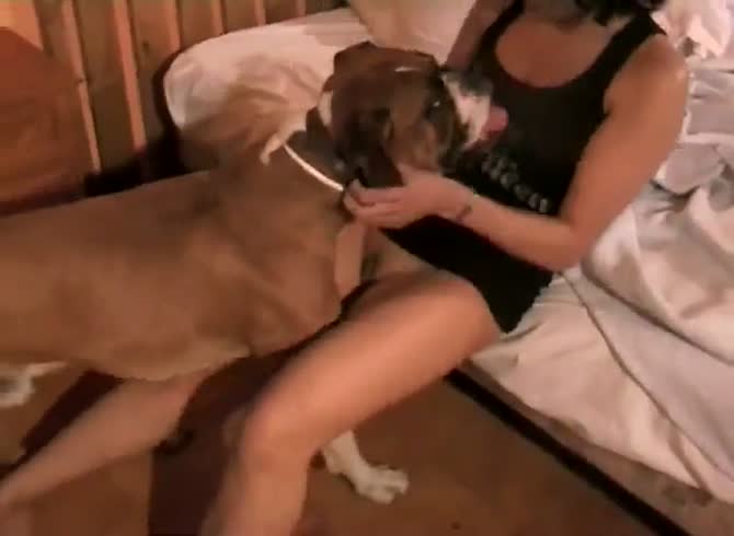 Homemade girl plays with big dog - Zoo Porn Amateur, Zoo Porn Dog at  Katitube