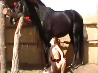 Andy animal my lovers videos bestiality horse