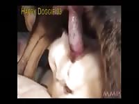 Animalboy dog fuck film 2
