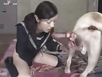 Asian dog sex 1