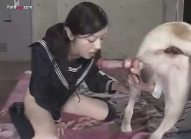 Asian Dog Fuck - Asian dog sex 1 - Zoo Porn Dog at Katitube