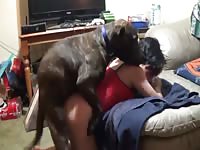 Asian takes big dog