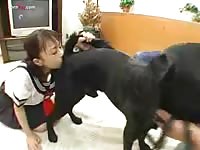 Asian whore forced by dog