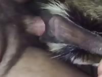 Atlanta goat fuck with cummy ending gaybeast com [ Girls Fucked by Pet ]