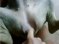 Baby dog gaybeast com [ Zoophilia Sex Tube With Lust ]