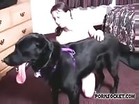 Pornsocket: Young girl having dog sex with big black dog