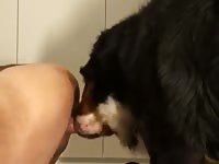 Big dog gives good fuck gaybeast com [ Woman Fucked by Animal ]