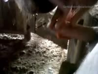Bj from horse gaybeast com [ Girl Fucked by Animal ](2)