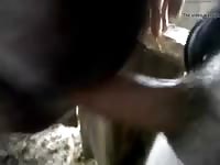 Bj from horse gaybeast com [ Girl Fucked by Animal ]