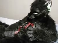 Black wolf paws gaybeast com [ Woman Fucked by Pet ]