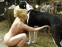 Great Dane having sex with blonde milf in zoo porn