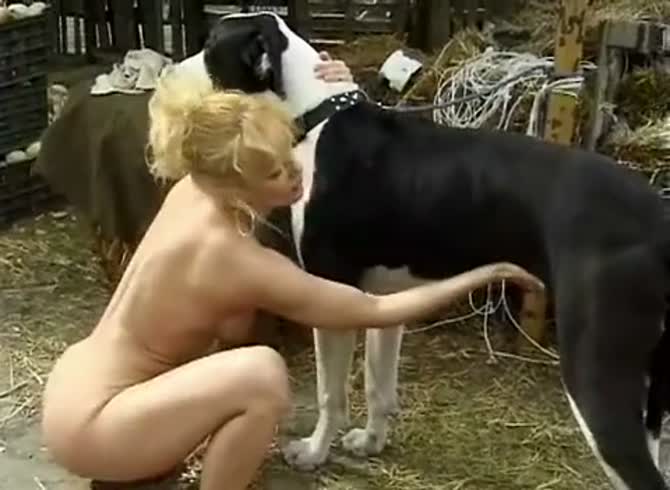 670px x 490px - Great Dane having sex with blonde milf in zoo porn - Zoo Porn Dog at  Katitube