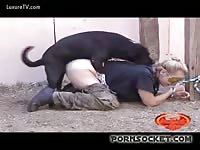 LuxureTV: Blonde having BDSM bestiality sex with dog