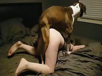 Blonde girl in doggy style position has animal sex show