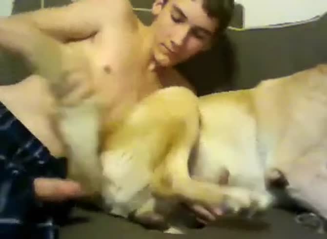 Fucking dogs Two horny