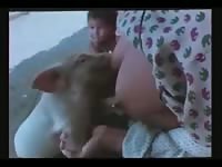 Breastfeeding farm sex action with piglets