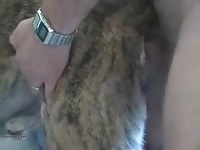 Brindle 02 gaybeast com [ Beastiality Sex Video With Woman ]