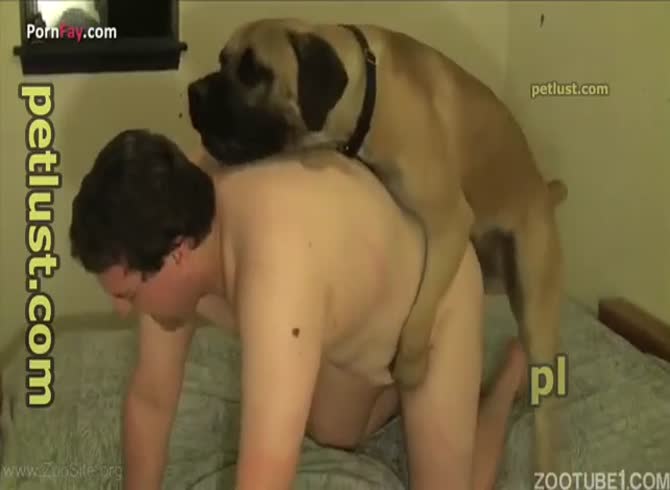 670px x 490px - Brown dog decides to fuck this chubby ass - Katitube Kinky Sex