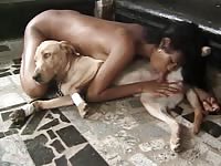 Sexy brown girl has kinky anal sex with her friend&#039;s trained dog in zoophilia action