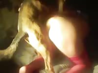 Horny dog fucks from behind his owner in dog creampie homemade video