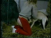 Bright red K9 knot gives messy dog creampie to kinky girl