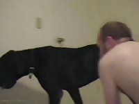 Caledonian male he is a Woman