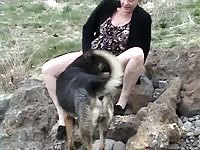 No name woman having dog sex in the mountains