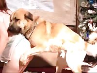 Woman gifts her dogs with her pussy in dog porn