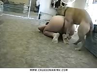 Girl with big ass fucked by boxer in dog porn