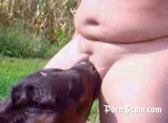 Results for : animals horse dog cum sucking woman