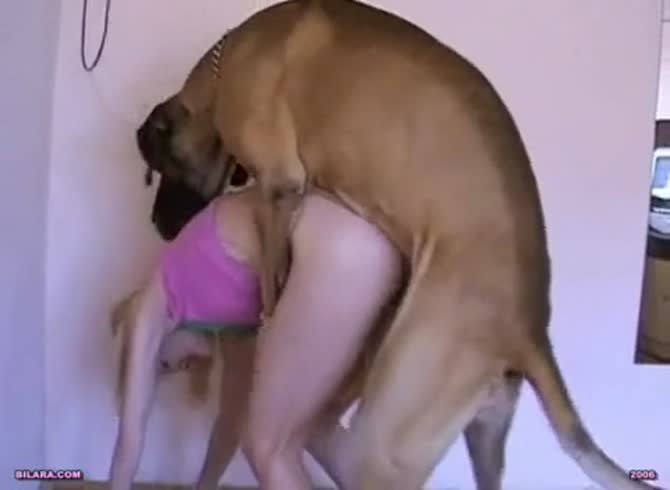 Dog Gatal Sex Bii - Bilara: Blonde teen having dog sex while parents are away - Zoo Porn Dog at  Katitube