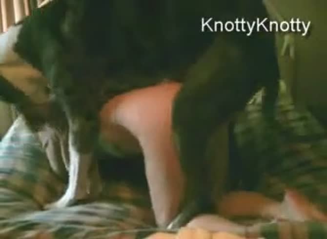 Knotty Knotty Dog Sex - KnottyKnotty: Woman fucks animals on bed in animal porn video - Zoo Porn Dog  at Katitube