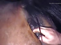Chupando Cu Do Cavalo Gay Beast Com - Animal Porn Tube