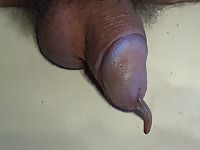Cock Worm Gay Beast Com - Beastiality Sex Video