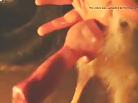 Cocks Dog Gaybeast - Zoo Xxx Sex Tube