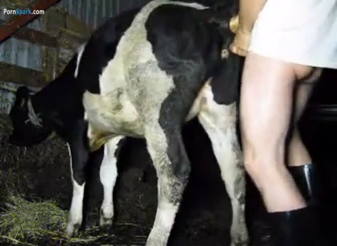 Ox And Cow Xxx Video Com - Cow Fick Film - Katitube Kinky Sex