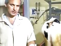 Cow Pee Learn Gay Beast Com - Animal Sex Porn Tube