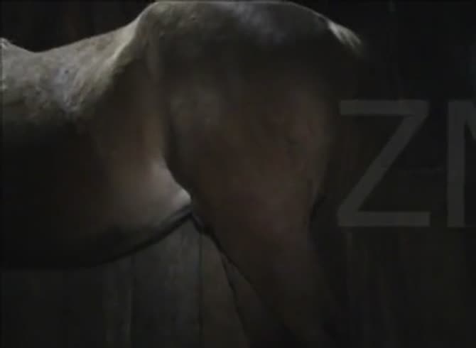 Horse Fuck Vidz - Cow Poke Horse Fuck Gaybeast Rip - Bestiality Sex Video - Katitube Kinky Sex
