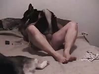 Dakota On Top 2 Gaybeast.Com - Animal Porn Movie