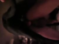 Dane Knot Gay Beast Com - Animal Sex Tube