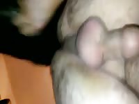 Dog Cum 2 Gaybeast.Com - Animal Sex Porn