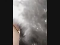 Dog Fuck Chub Bear Gaybeast Rip - Beastiality Sex Video