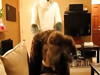 Dog Fucking 1 Gay Beast Com - Beastiality Sex Movie